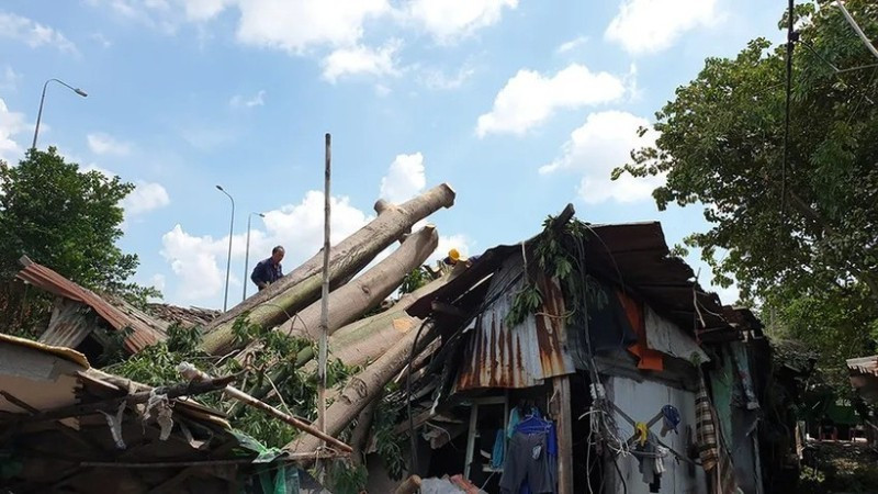 Heavy rain accompanied by whirlwinds swept through District 6 (former), ripping roofs off schools and toppling trees. (Photo: NGUYEN TAN/Nhan Dan)