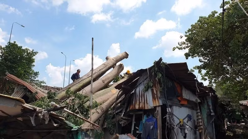 Heavy rain accompanied by whirlwinds swept through District 6 (former), ripping roofs off schools and toppling trees. (Photo: NGUYEN TAN/Nhan Dan)