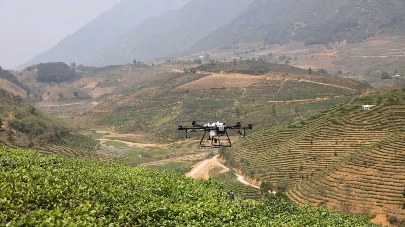 The use of unmanned aerial vehicles (drones) in agricultural production in Lai Chau Province. (Photo: MINH ANH)