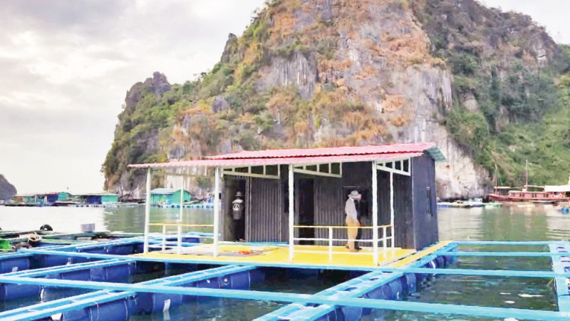 Testing HDPE marine cages in the waters of Quang Ninh Province. (Photo: VAN NGOC)