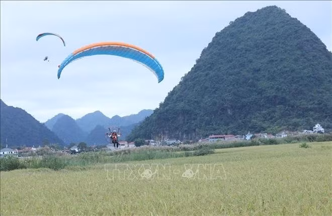 Visitors experience paragliding over the rice fields of Bac Son, Lang Son province. (Photo: VNA)