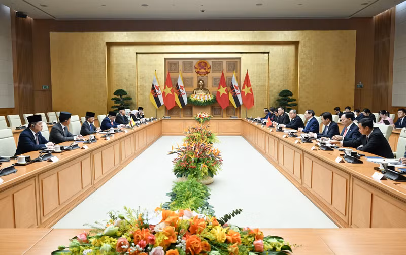 image-6.jpg