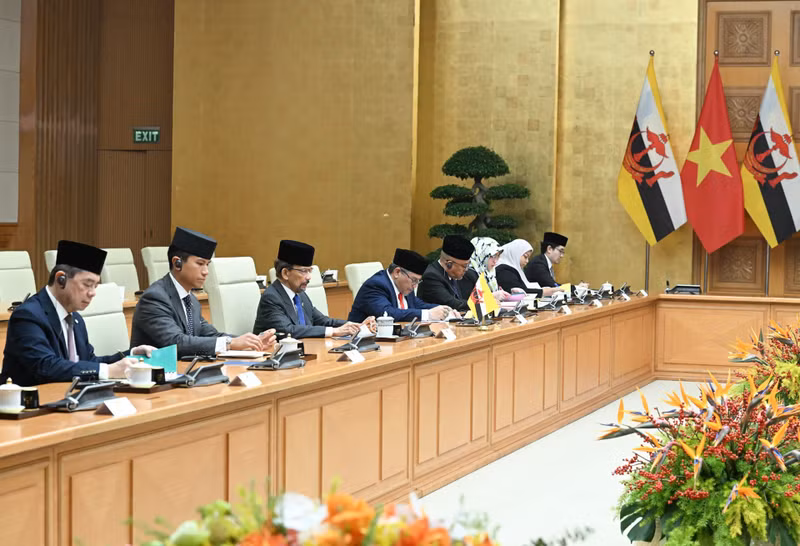 image-8.jpg