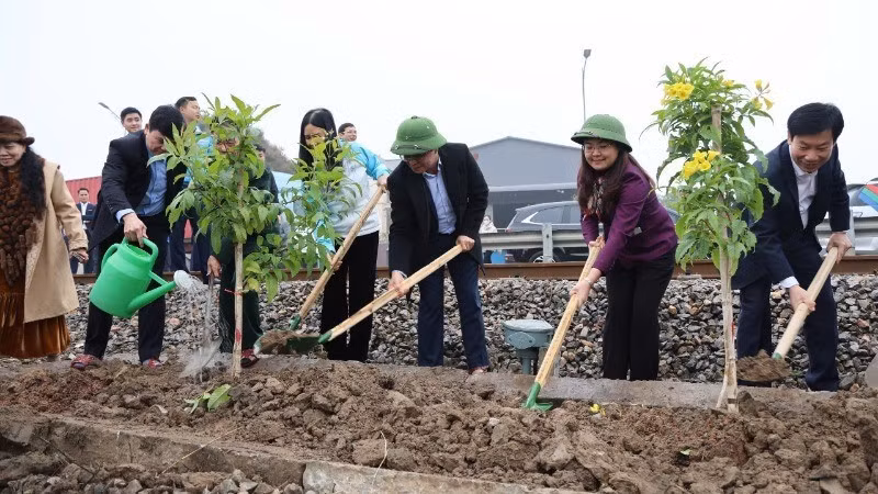 Cultural beauty of Tree-planting Festival