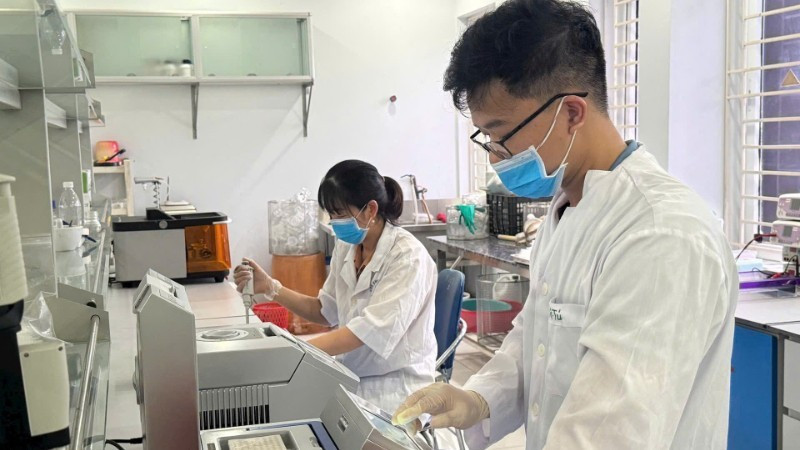 Scientific research activities at the Field Crops Research Institute