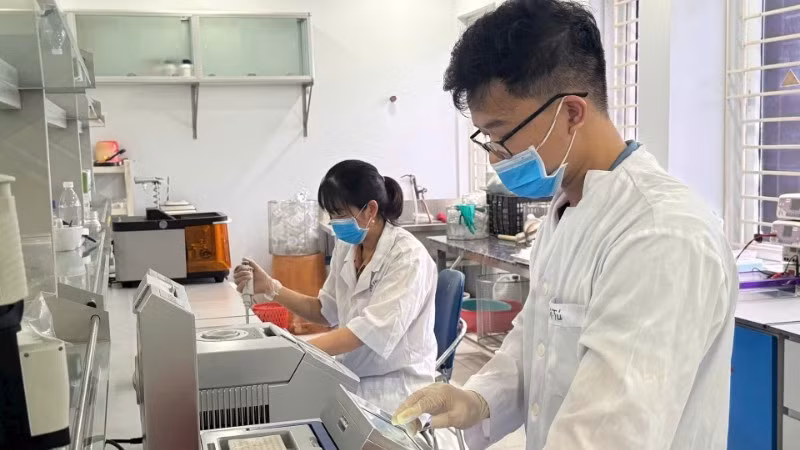 Scientific research activities at the Field Crops Research Institute