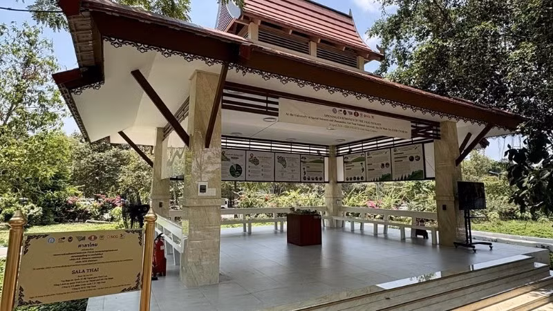 Sala Thai serves as a hub connecting students with sustainable values.