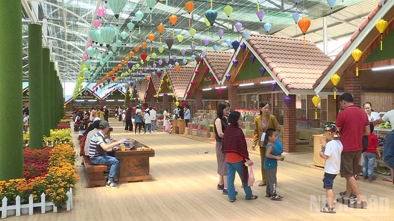 Agro-tourism models in Lam Dong attract tourists who are keen to explore and experience local agriculture.