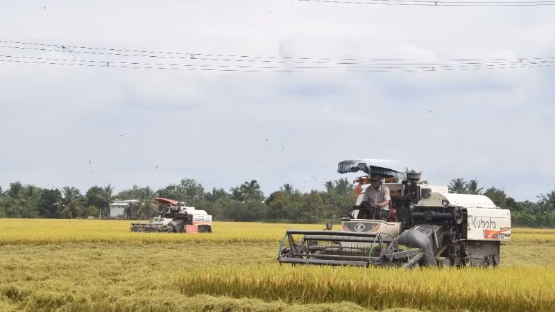 Mechanisation applied in rice harvesting in Dong Thap Province.