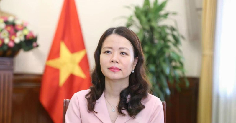 Deputy Minister of Foreign Affairs Nguyen Minh Hang (Photo: VNA)