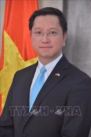 Vietnamese Ambassador to India, Nepal and Bhutan Nguyen Thanh Hai. (Photo: VNA)