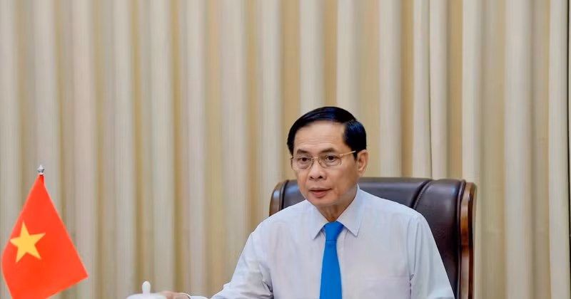 Deputy Prime Minister and Minister of Foreign Affairs Bui Thanh Son (Photo: VNA)