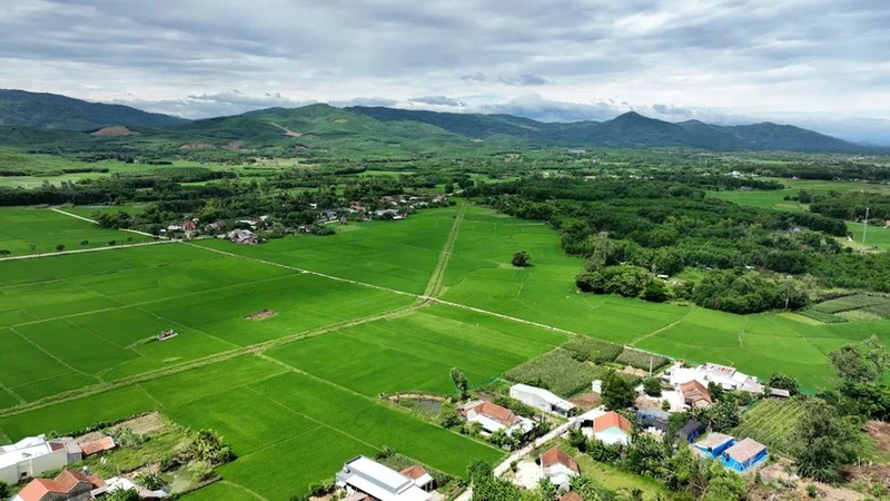 Quang Nam promotes sustainable agricultural development. (Photo: LE ANH QUAN)
