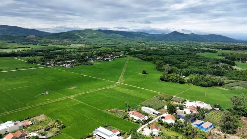 Quang Nam promotes sustainable agricultural development. (Photo: LE ANH QUAN)