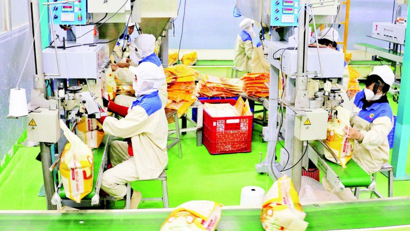 Packaging rice for export at the factory of Thao Son One Member Limited Liability Food Company in An Giang Province. (Photo: VNA)