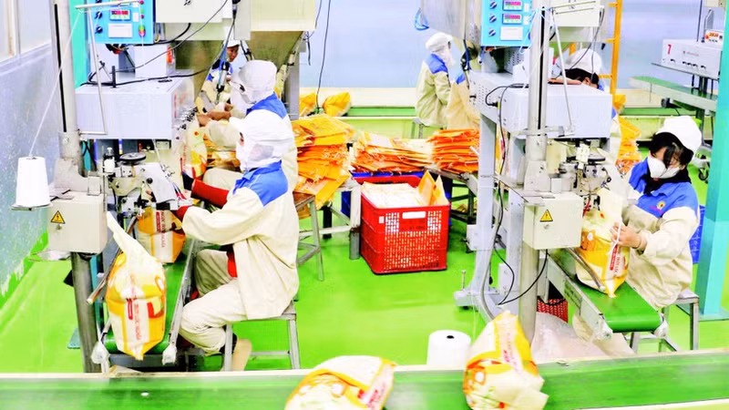 Packaging rice for export at the factory of Thao Son One Member Limited Liability Food Company in An Giang Province. (Photo: VNA)