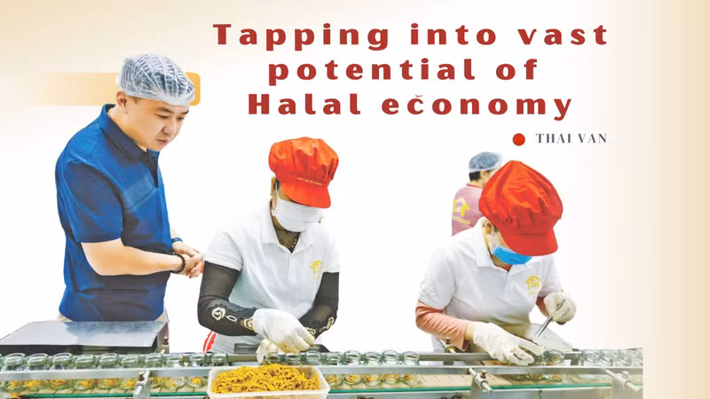 Tapping into vast potential of Halal economy