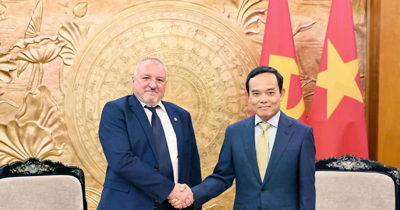 Head of the Party Central Committee's Commission for Policies and Strategies Tran Luu Quang (R) and President of the Hungarian Socialist Party Komjáthi Imre. (Photo: VNA)