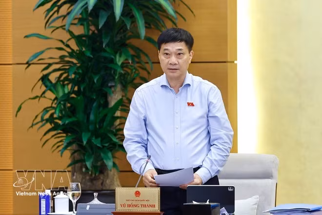 NA Vice Chairman Vu Hong Thanh speaks at the meeting (Photo: VNA)