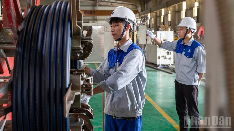 Workers at Tan A–Dai Thanh Company. (Photo: TUNG NGUYEN)