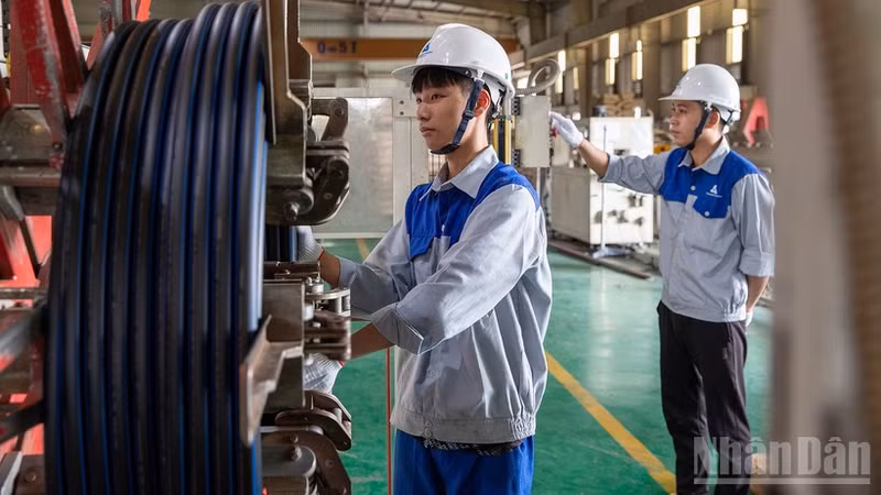 Workers at Tan A–Dai Thanh Company. (Photo: TUNG NGUYEN)