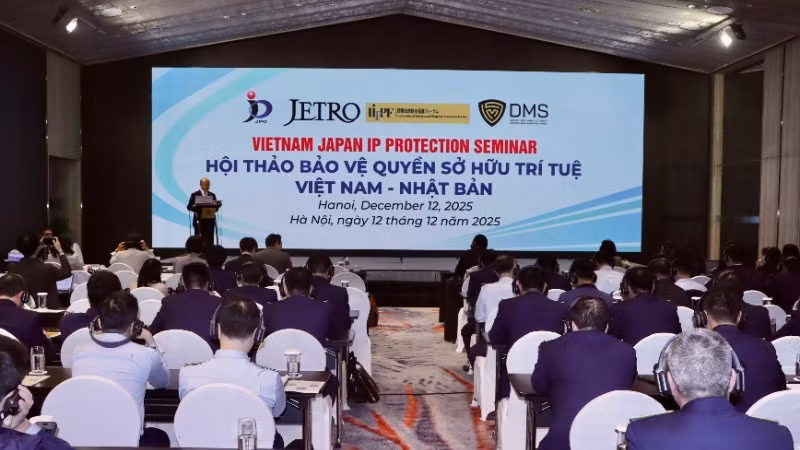 An overview of the “Viet Nam–Japan Intellectual Property Protection” workshop.