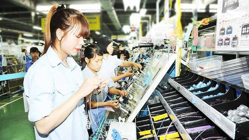 Sumi Viet Nam Wiring Systems Co., Ltd. (SVWS), a wholly Japanese-invested enterprise, operating in Dong Van II Industrial Park, Ninh Binh. Photo: TRAN HAI