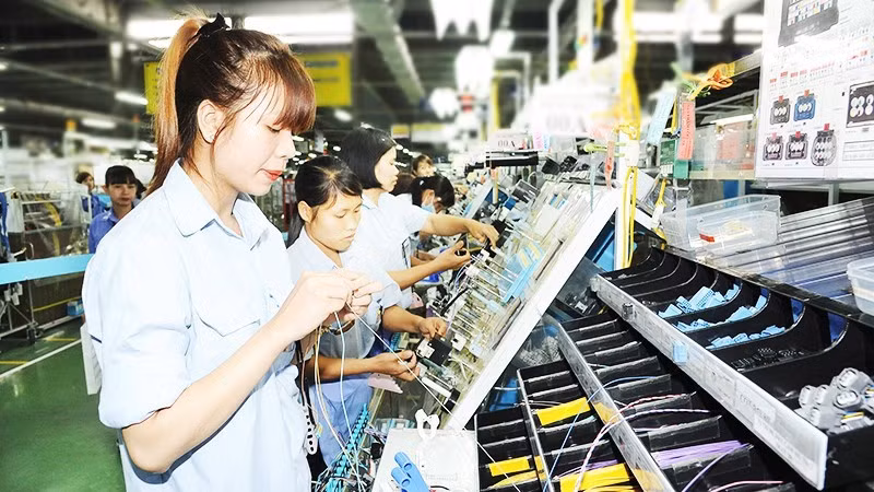 Sumi Viet Nam Wiring Systems Co., Ltd. (SVWS), a wholly Japanese-invested enterprise, operating in Dong Van II Industrial Park, Ninh Binh. Photo: TRAN HAI