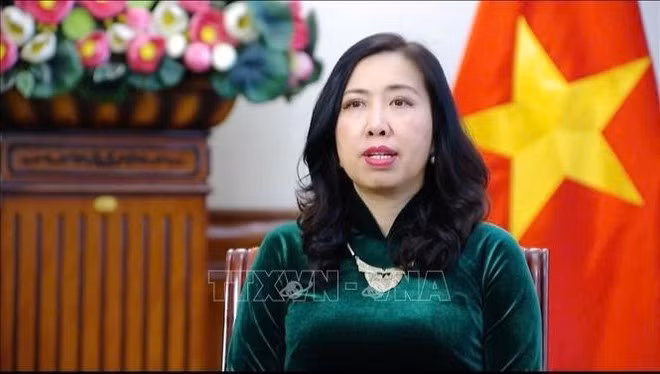 Deputy Minister of Foreign Affairs Le Thi Thu Hang (Photo: VNA)