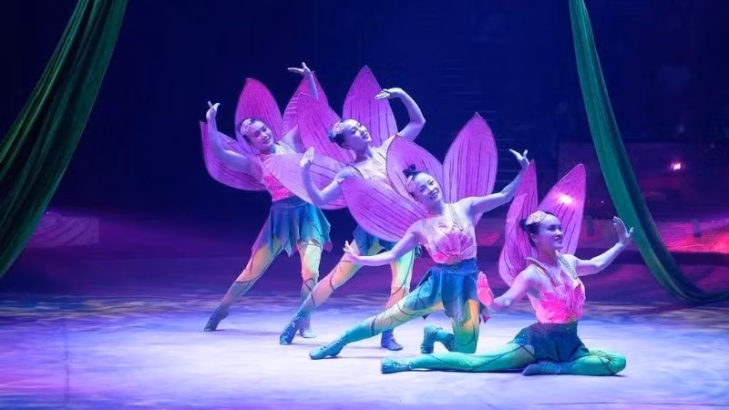 The act "Lotus Swing", inspired by the image of the lotus flower, was highly praised for its technical virtuosity and creative choreography. (Photo: Viet Nam Circus Federation)