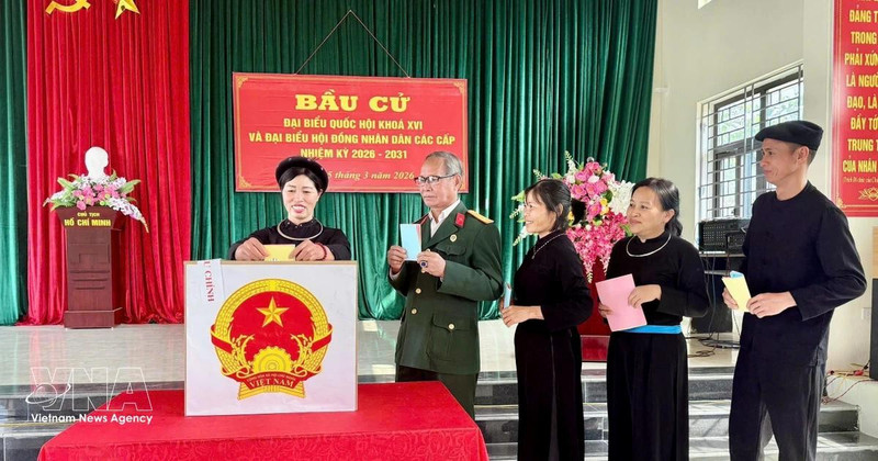 Vietnamese voters cast their ballots (Photo: VNA)