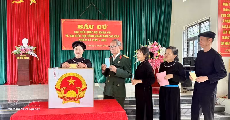 Vietnamese voters cast their ballots (Photo: VNA)