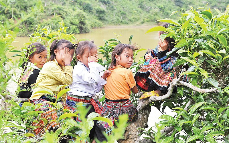 The database on children is also an important component of the National Database on Social Security. (Illustrative photo: Dang Khoa)