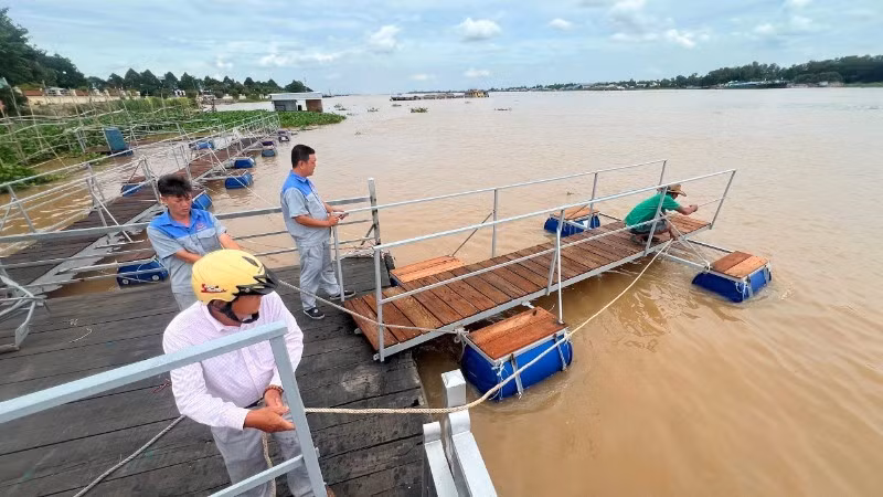 Truong Minh Hai built floating bridges around the communal house’s riverside wharf to both protect the fish and provide walkways for visitors