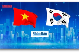 Video: Nhan Dan Newspaper launches online Korean version