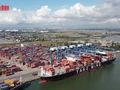 Video: Viet Nam’s trade turnover nears 840 billion USD in 11 months