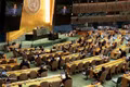 Minister-Counselor Nguyen Hai Luu, Deputy Permanent Representative of Viet Nam to the UN, speaks at the session. (Photo: VNA)