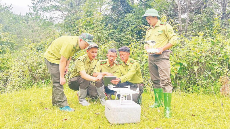 The application of digital technology helps the Son La forest ranger force to effectively carry out forest management and protection tasks.
