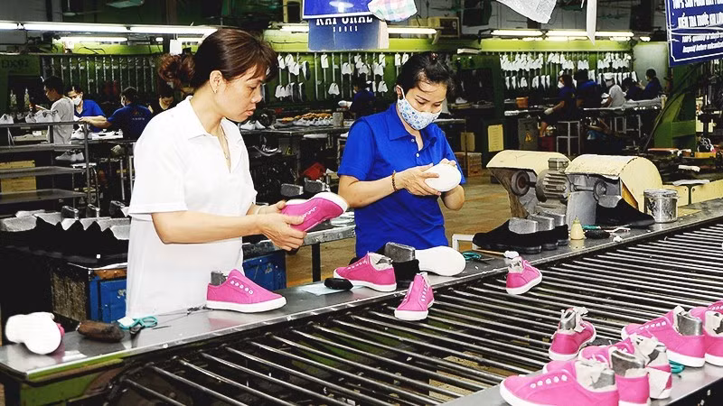 The EVFTA offers Viet Nam a major advantages in exporting key products such as footwear to the EU market.