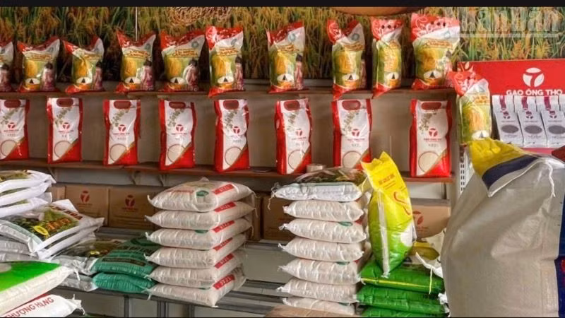 As of May 28, the government has provided nearly 2,000 tonnes of rice to people during the pre-harvest period at the beginning of 2025. (Photo: T.T)