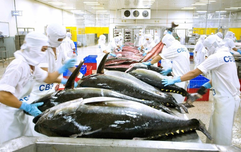 Seafood processing for export.