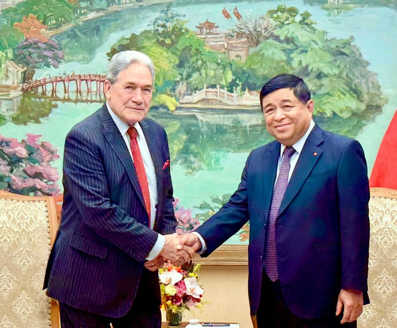 Deputy Prime Minister Nguyen Chi Dung (R) and Winston Peters, Minister of Foreign Affairs of New Zealand, at their meeting in Ha Noi on November 25. (Photo: VNA)