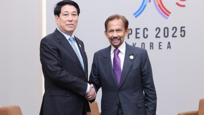 State President Luong Cuong and Sultan of Brunei Darussalam Haji Hassanal Bolkiah at APEC 2025 in the Republic of Korea. (Photo: VNA)