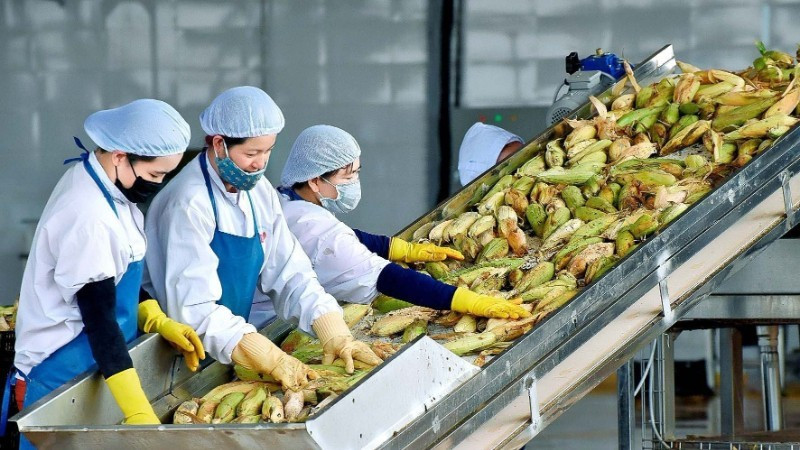 In the first two months of 2026, exports of agricultural, forestry, and fishery products reached 11.3 billion USD, up 17.1% year on year.