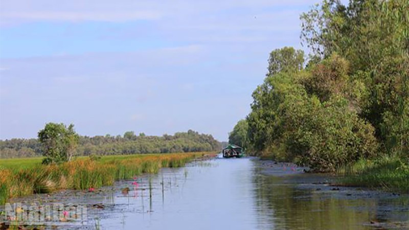 Tram Chim National Park takes on a new look during the flood season.