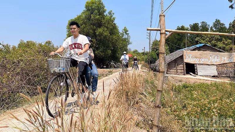 Visitors cycle to explore Thieng Lieng, Thanh An Commune, Ho Chi Minh City. (Photo: LINH BAO)