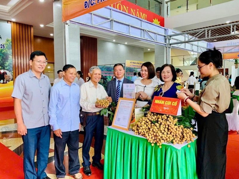Hung Yen longan, recognised as an OCOP product, has been displayed and sold at Hung Yen Province’s trade promotion and agricultural product consumption conferences.