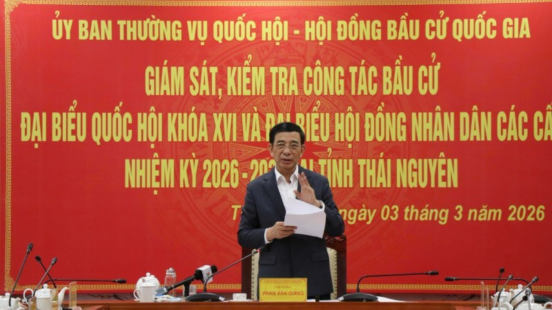 General Phan Van Giang speaks at the supervision and inspection session. (Photo: TUAN SON)