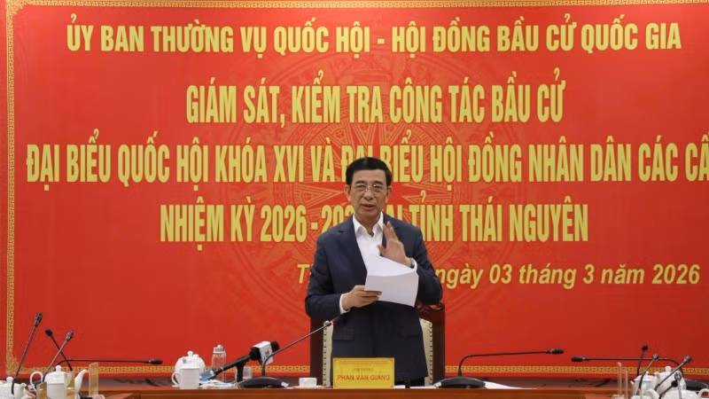 General Phan Van Giang speaks at the supervision and inspection session. (Photo: TUAN SON)