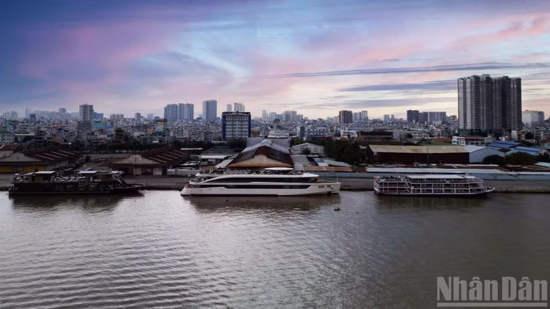 Halting the housing project to expand the Ho Chi Minh Cultural Space is not merely an administrative decision but also a gesture of respect for the past and an effort to preserve the city’s memory amid constant urban transformation. Many residents of Ho Chi Minh City support this policy, believing that the Nha Rong Wharf area should become an open cultural space that showcases the city’s history, people, and identity to both domestic and international visitors.